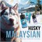 Жидкость Husky Malaysian Salt 30 мл 20 мг 2440 - фото 15287